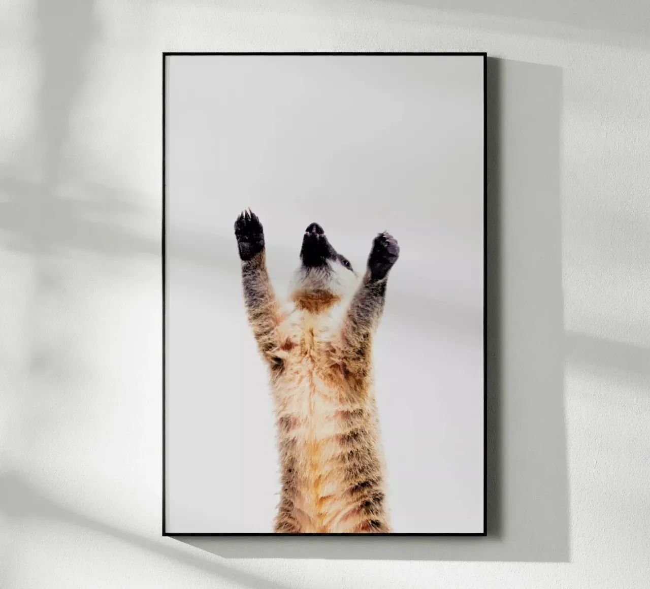 Meerkat plexiglass da Paws & Claws