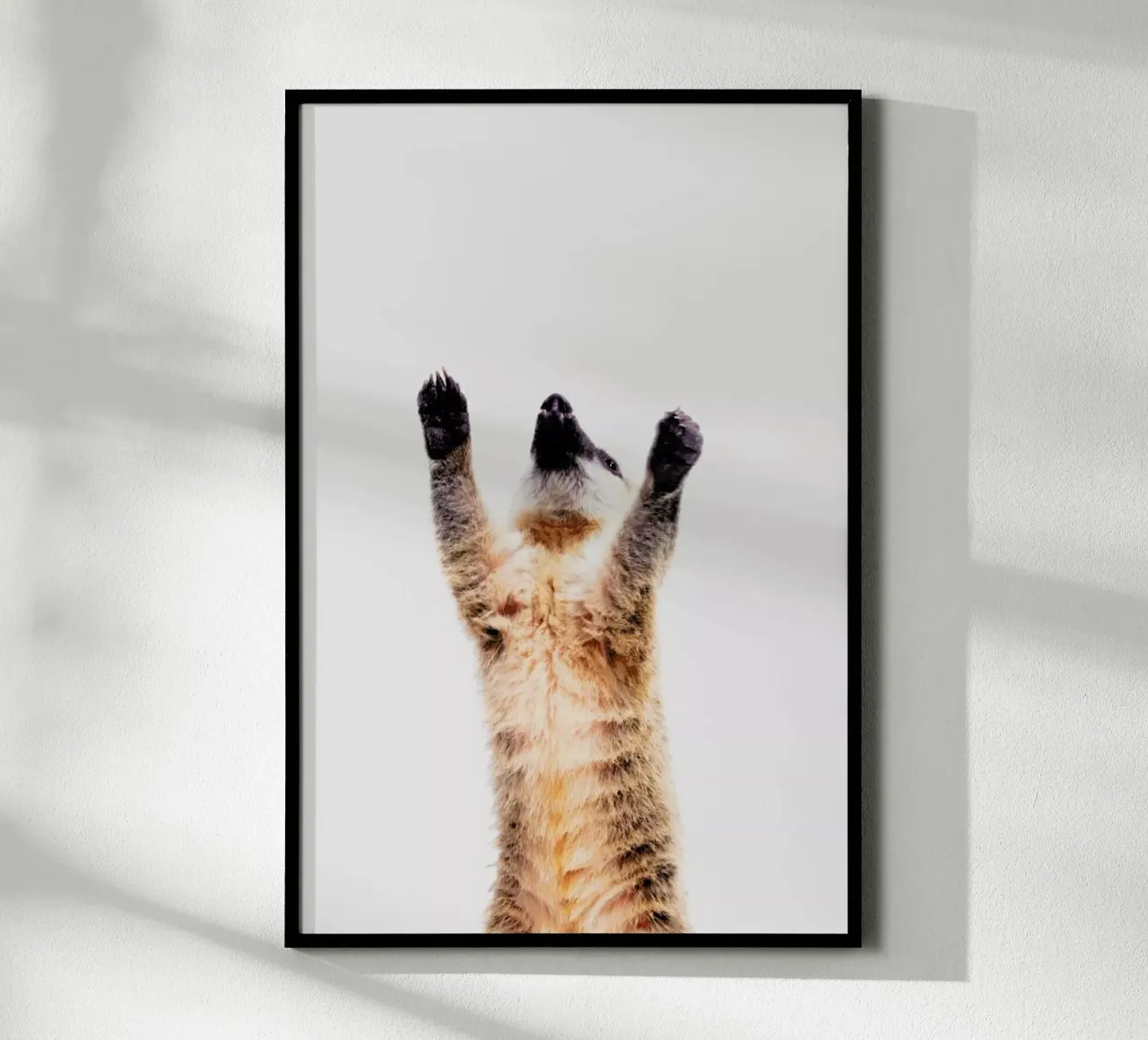 Meerkat poster da Paws & Claws