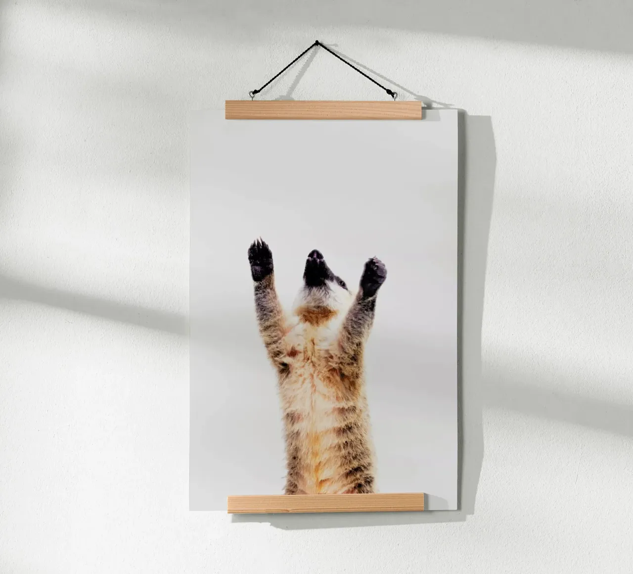 Meerkat poster da Paws & Claws