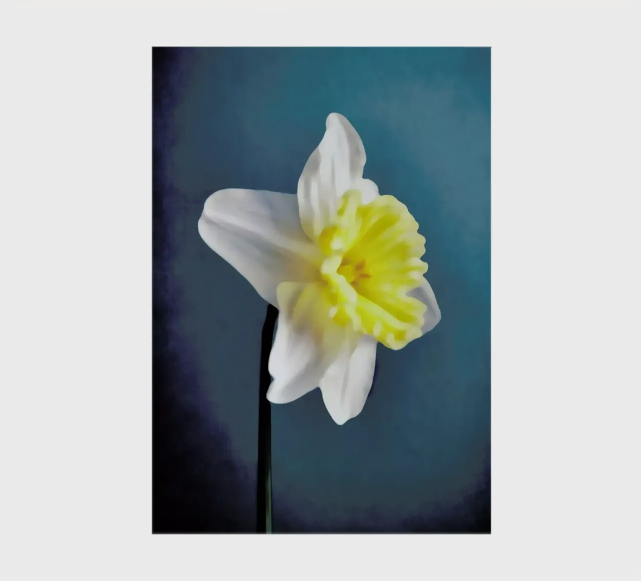 Narciso 9 notebook by Angelo Cerantola