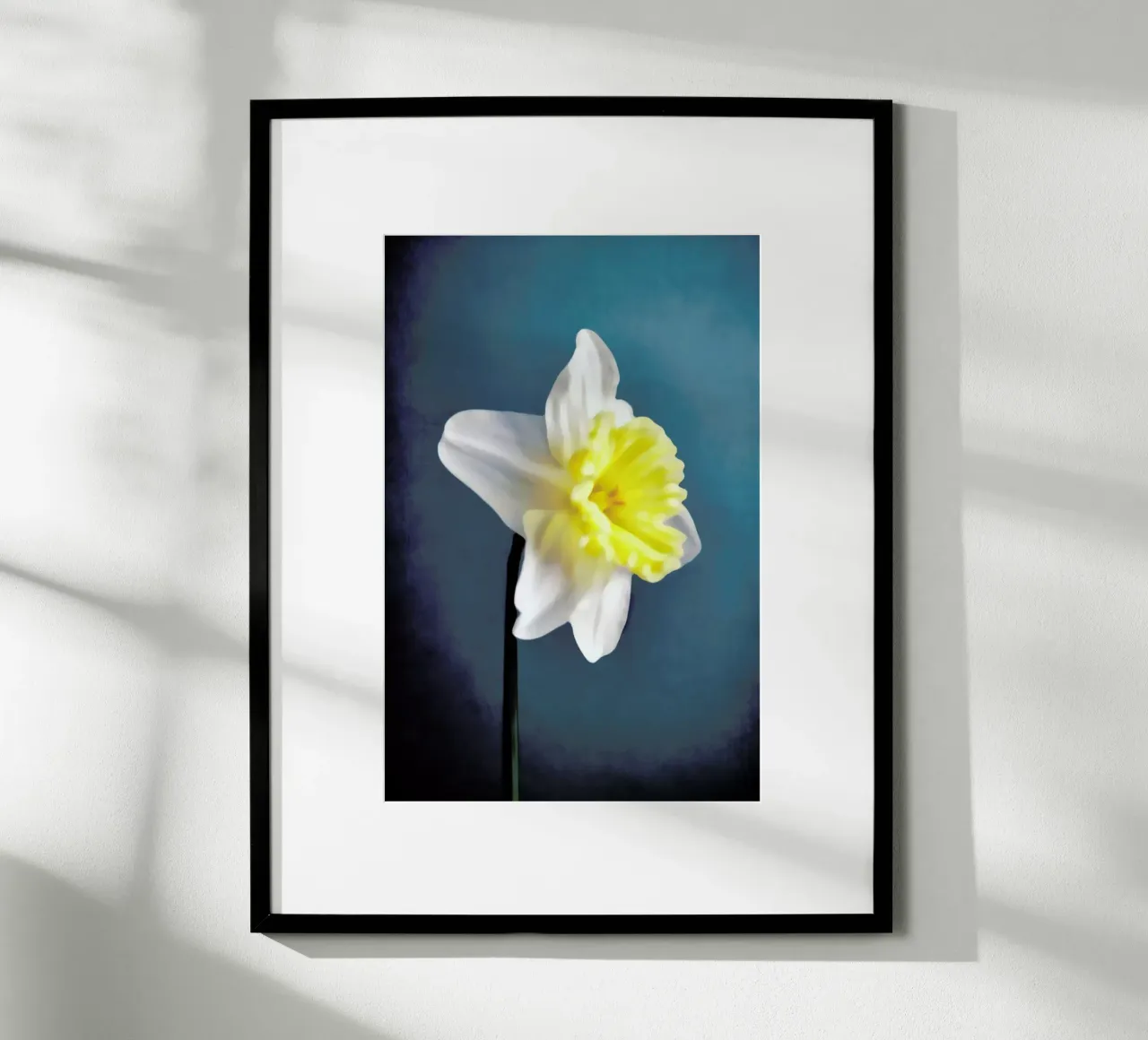 Narciso 9 poster da Angelo Cerantola