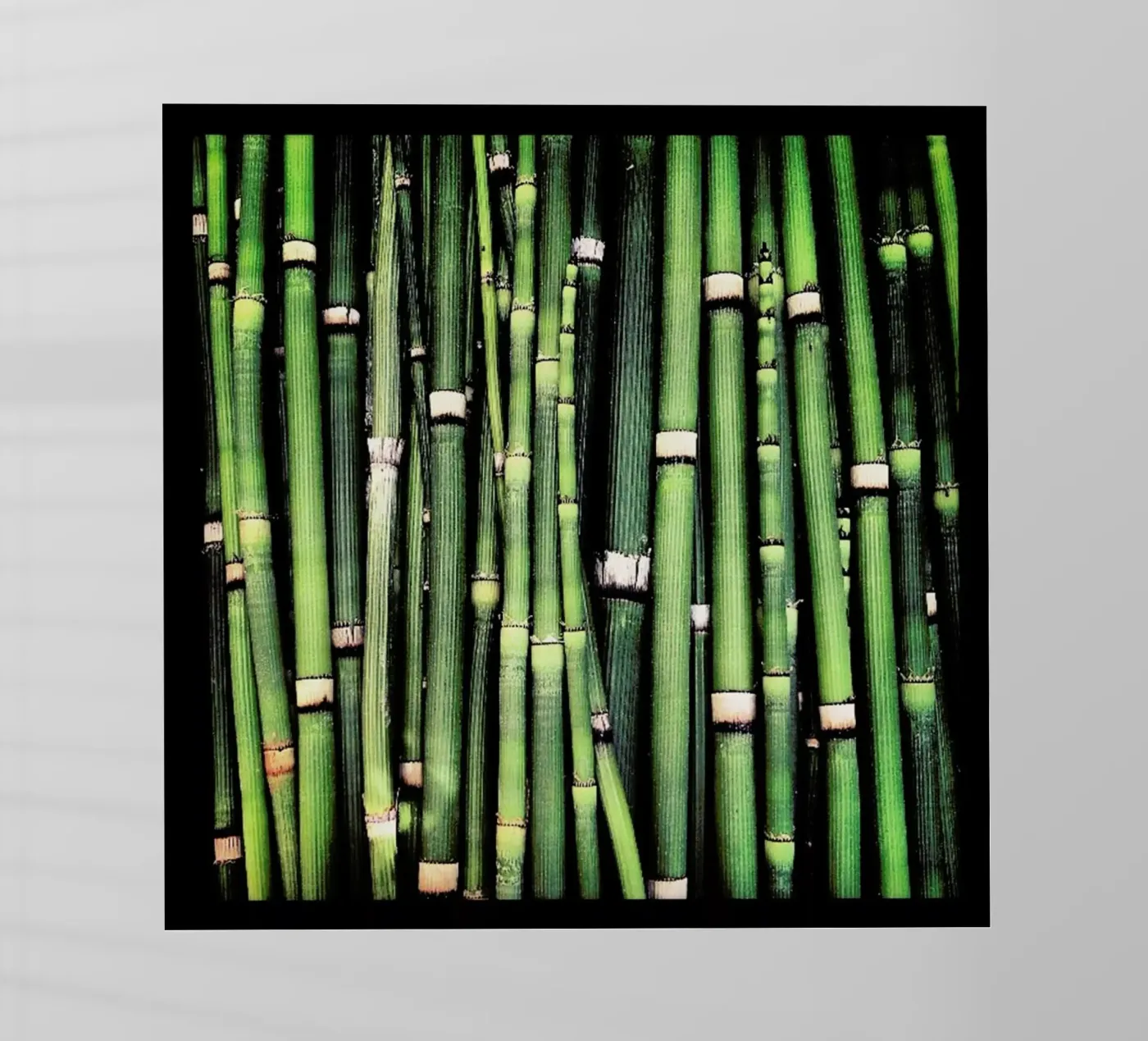 Jungle pellicola backlit da Ballack Art House