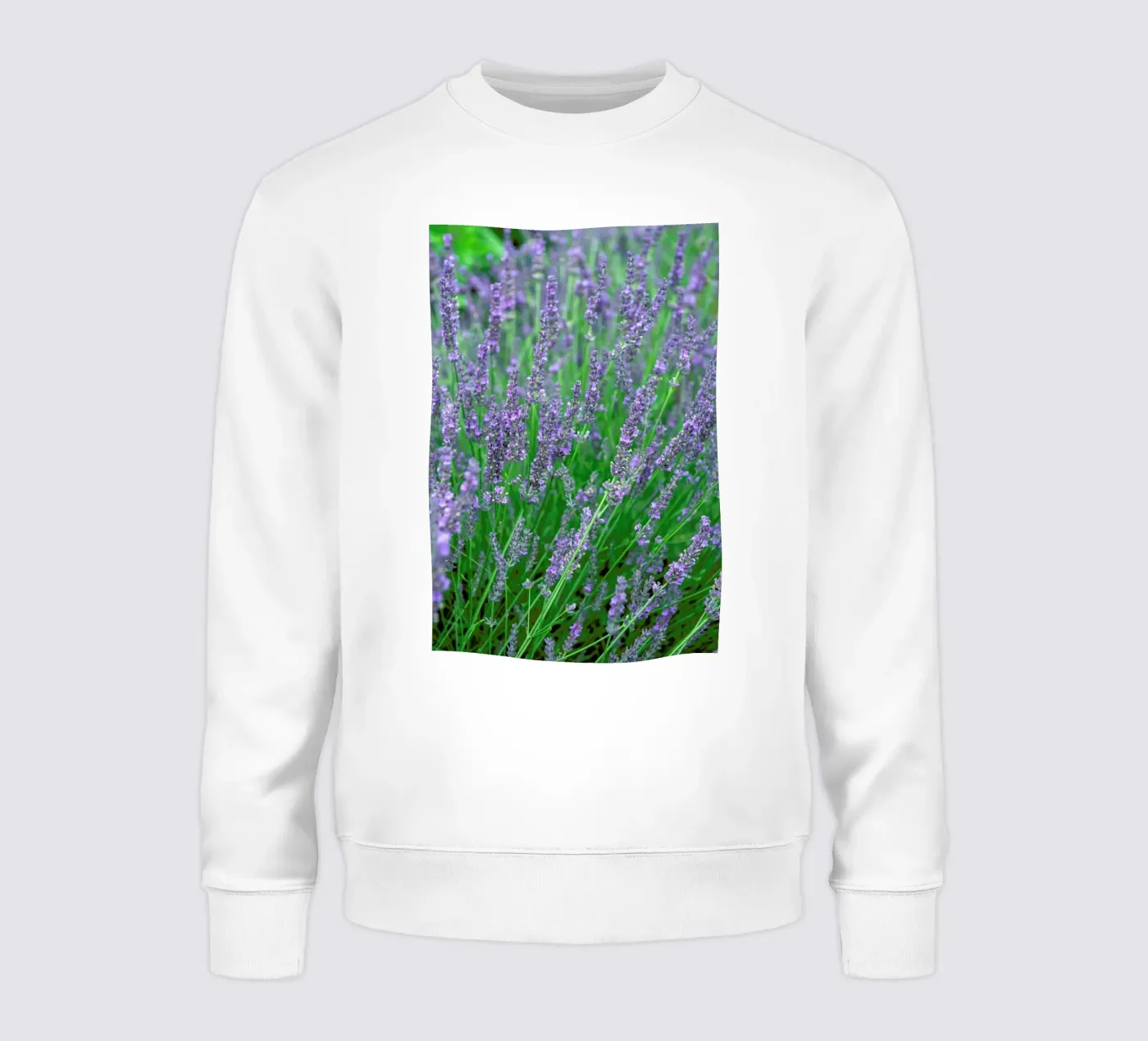 Lavender felpa da Curious Collections by Marielle Leenders