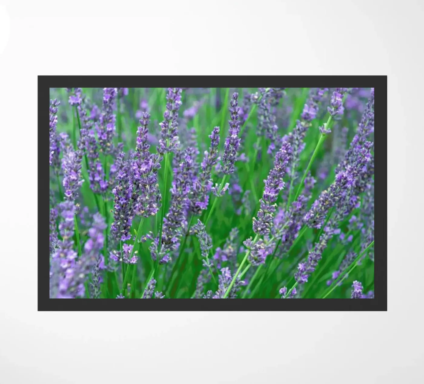 Lavender deurmat van Curious Collections by Marielle Leenders