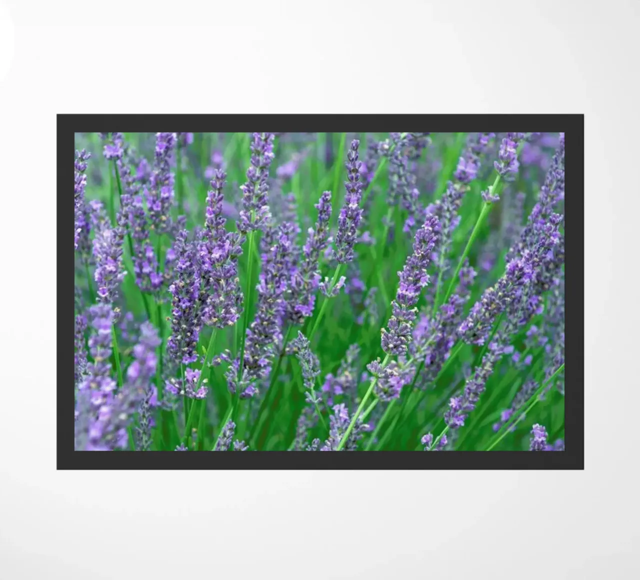 Lavender zerbino da Curious Collections by Marielle Leenders