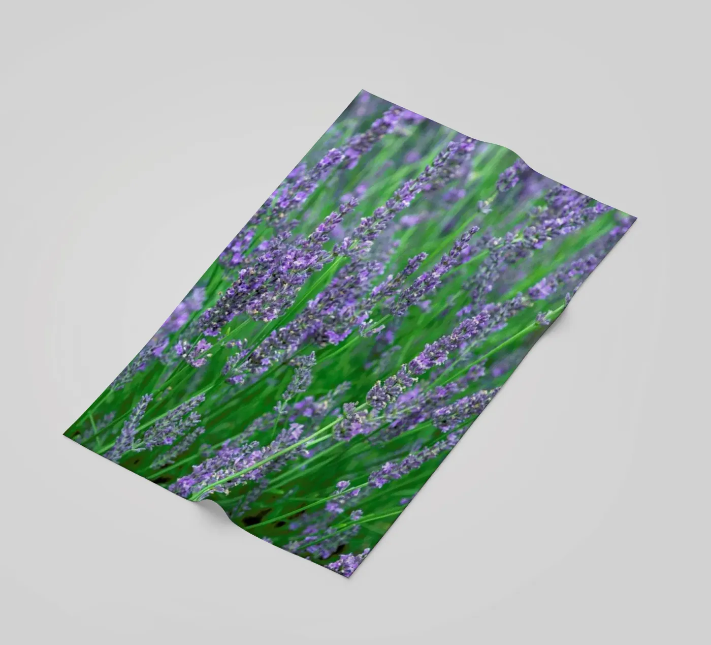 Lavender telo mare da Curious Collections by Marielle Leenders