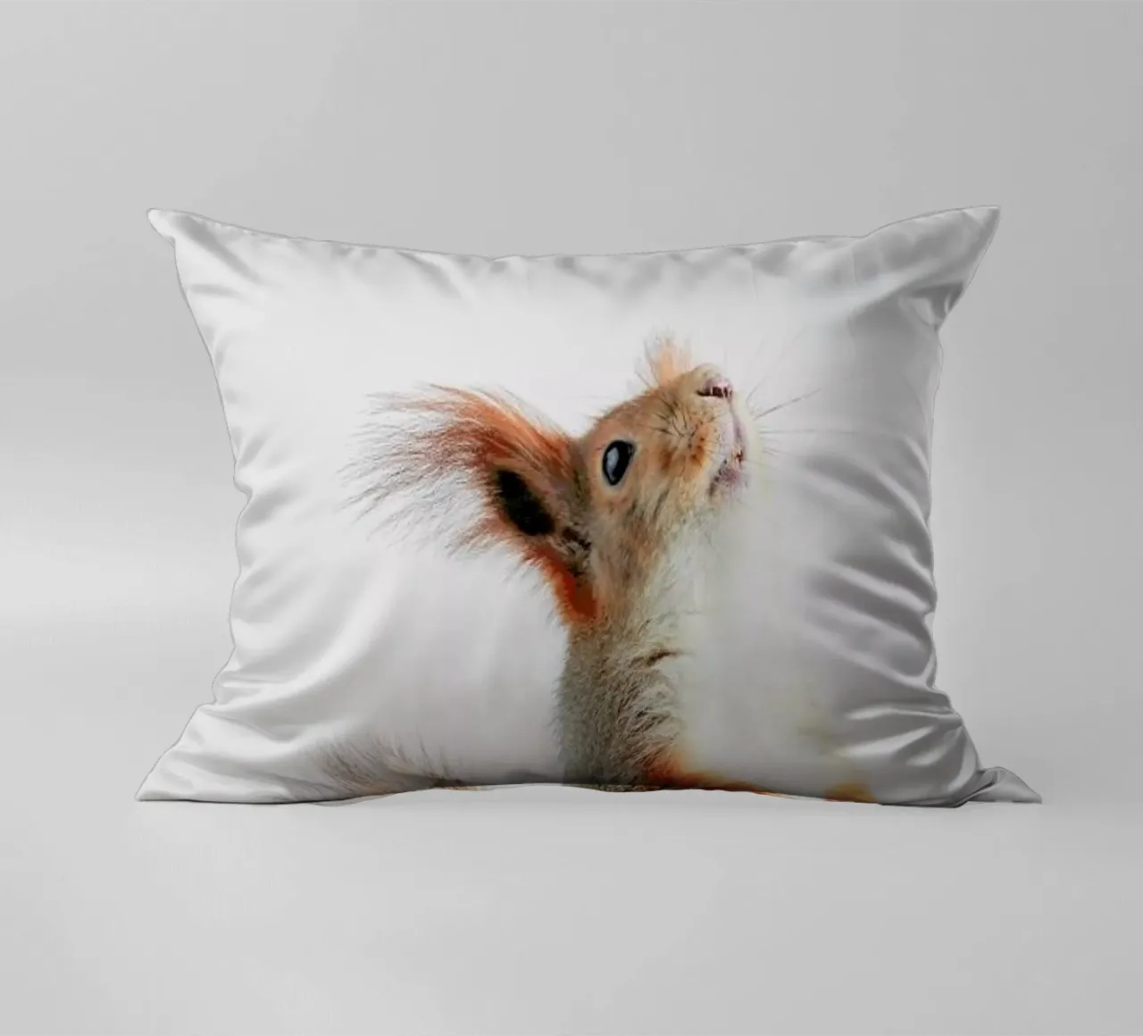 Red Squirrel II cuscino da Paws & Claws