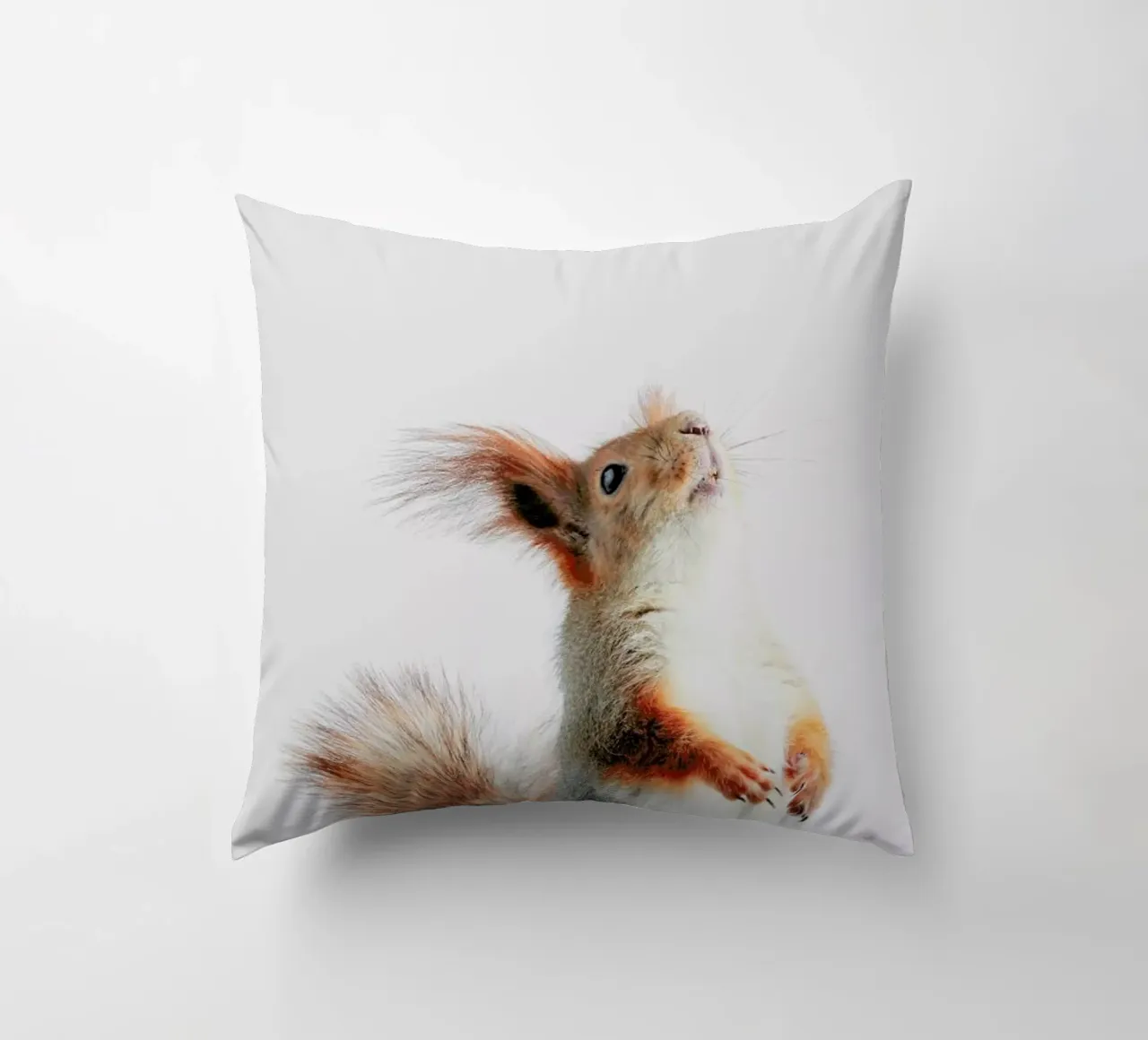 Red Squirrel II cuscino da Paws & Claws