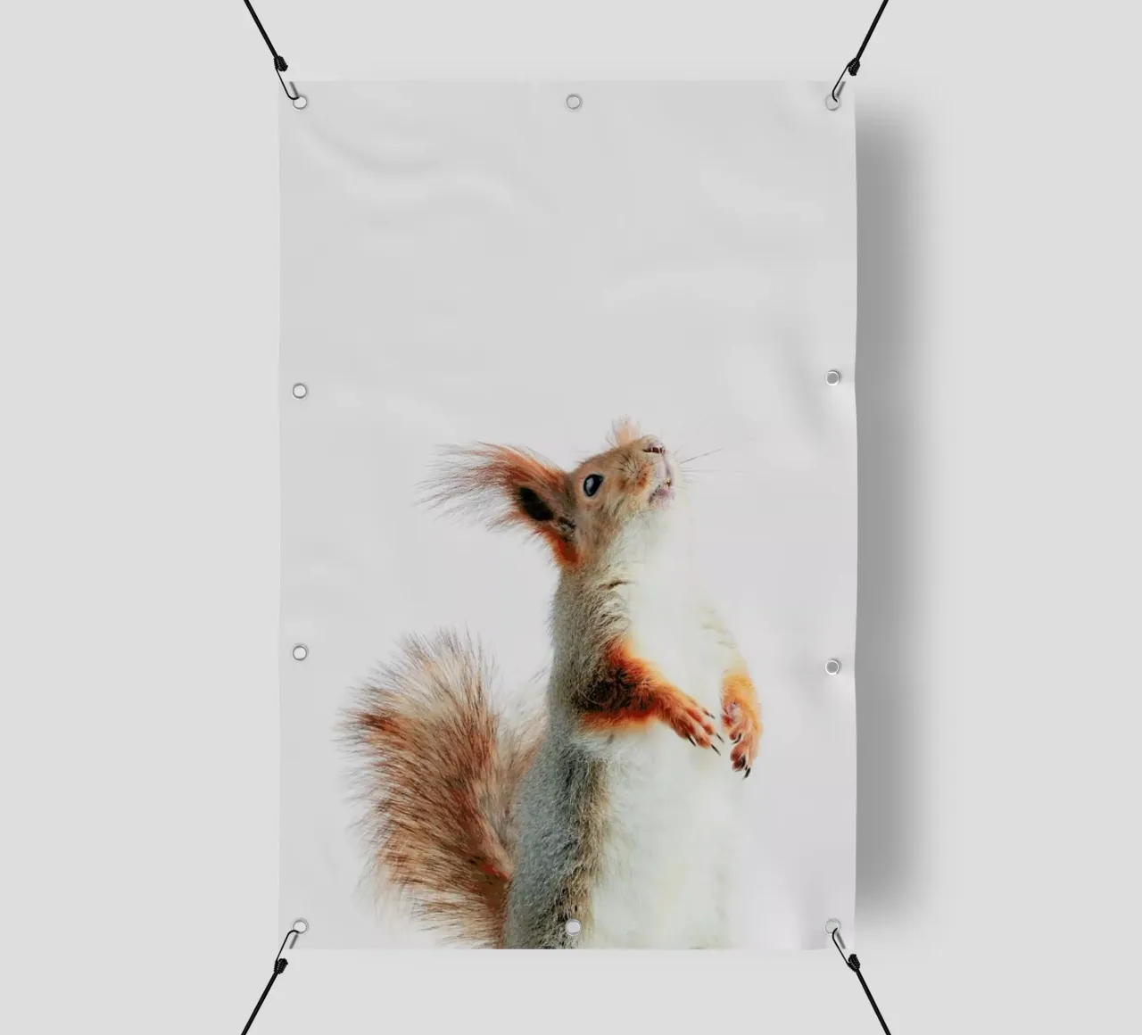 Red Squirrel II telo in pvc da Paws & Claws