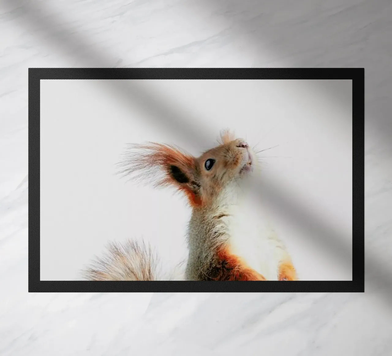 Red Squirrel II zerbino da Paws & Claws