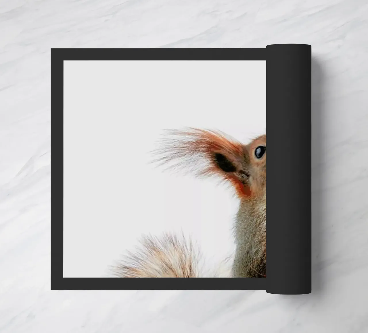 Red Squirrel II zerbino da Paws & Claws