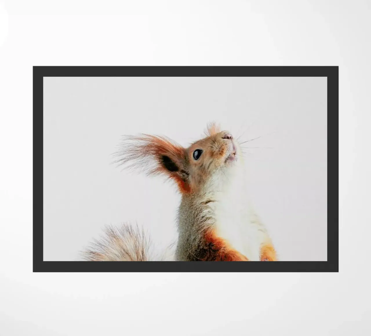 Red Squirrel II zerbino da Paws & Claws