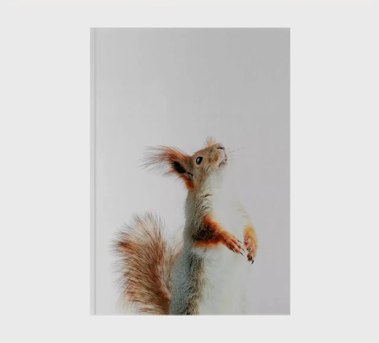Red Squirrel II notebook by Paws & Claws