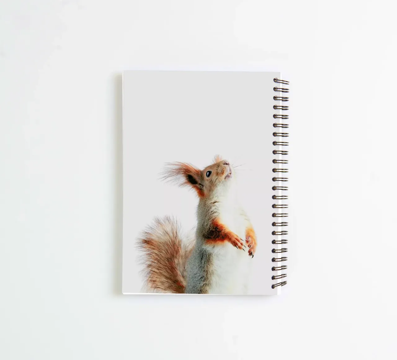 Red Squirrel II spiral notebook by Paws & Claws
