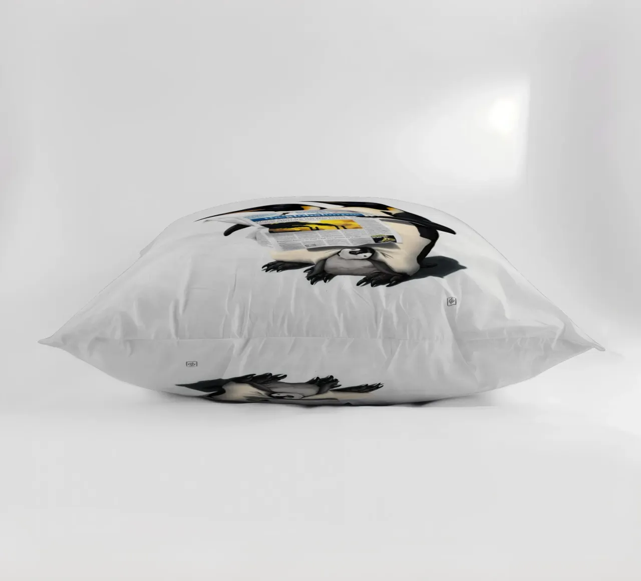 Read All Over (Wordless) cuscino da Rob Art | Illustration