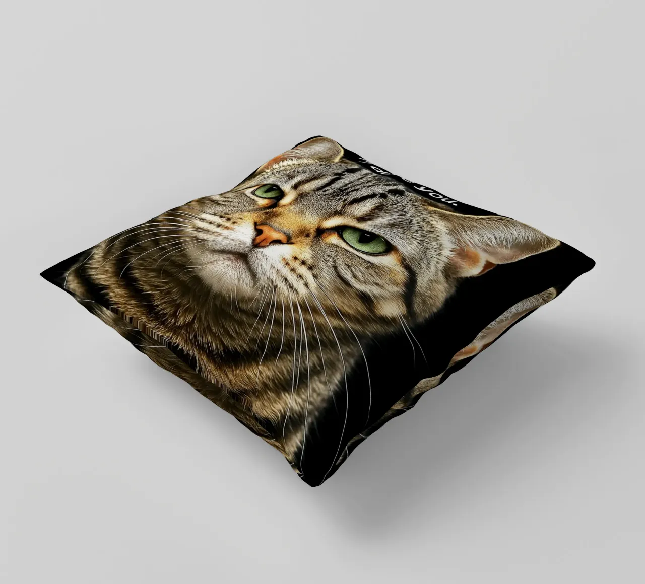 Gatto dimmi di sorridere, ti sfido cuscino da the gindils