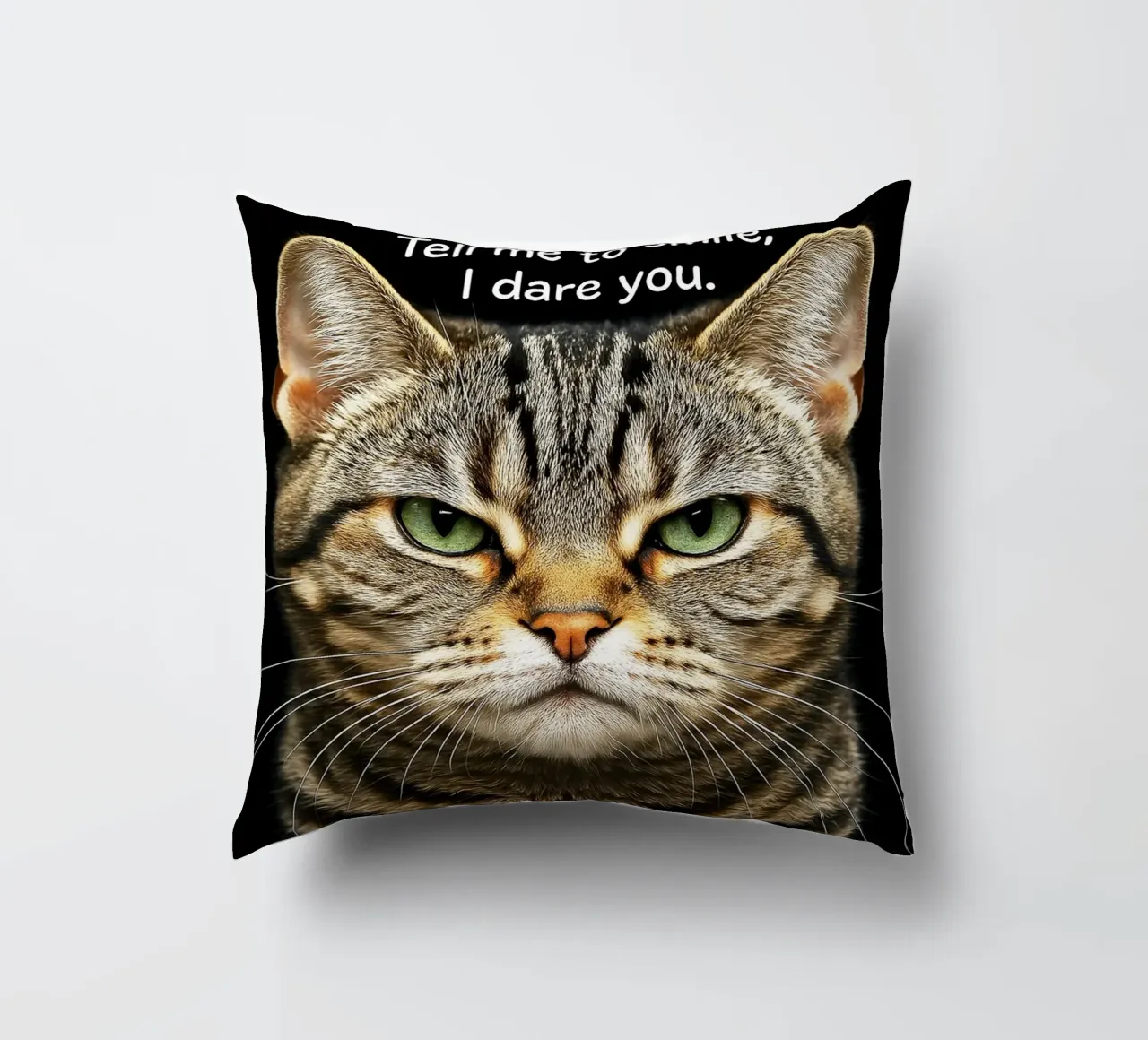Gatto dimmi di sorridere, ti sfido cuscino da the gindils