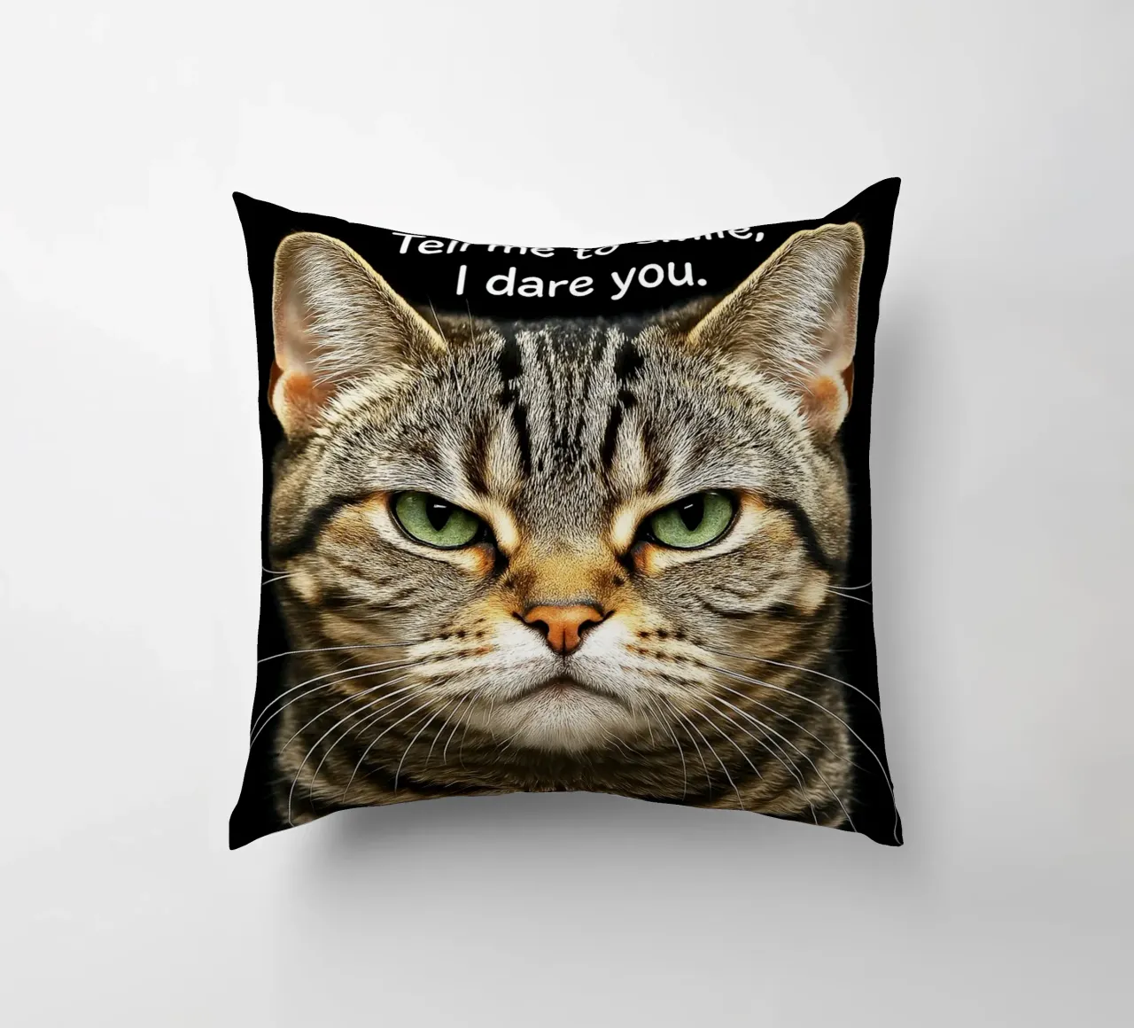Gatto dimmi di sorridere, ti sfido cuscino da the gindils