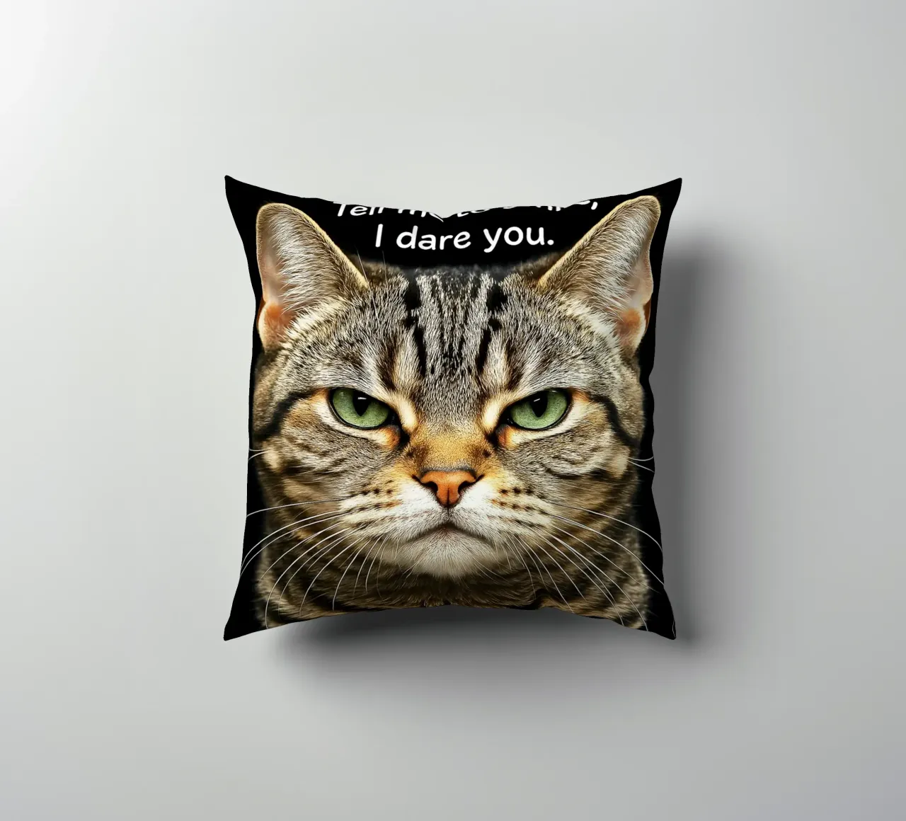 Gatto dimmi di sorridere, ti sfido cuscino da the gindils