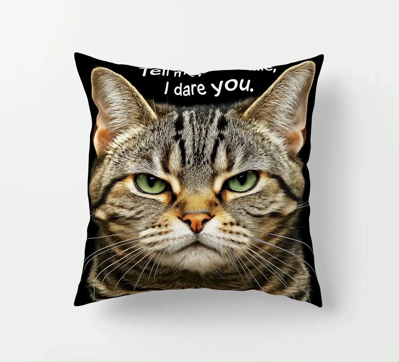 Gatto dimmi di sorridere, ti sfido cuscino da the gindils