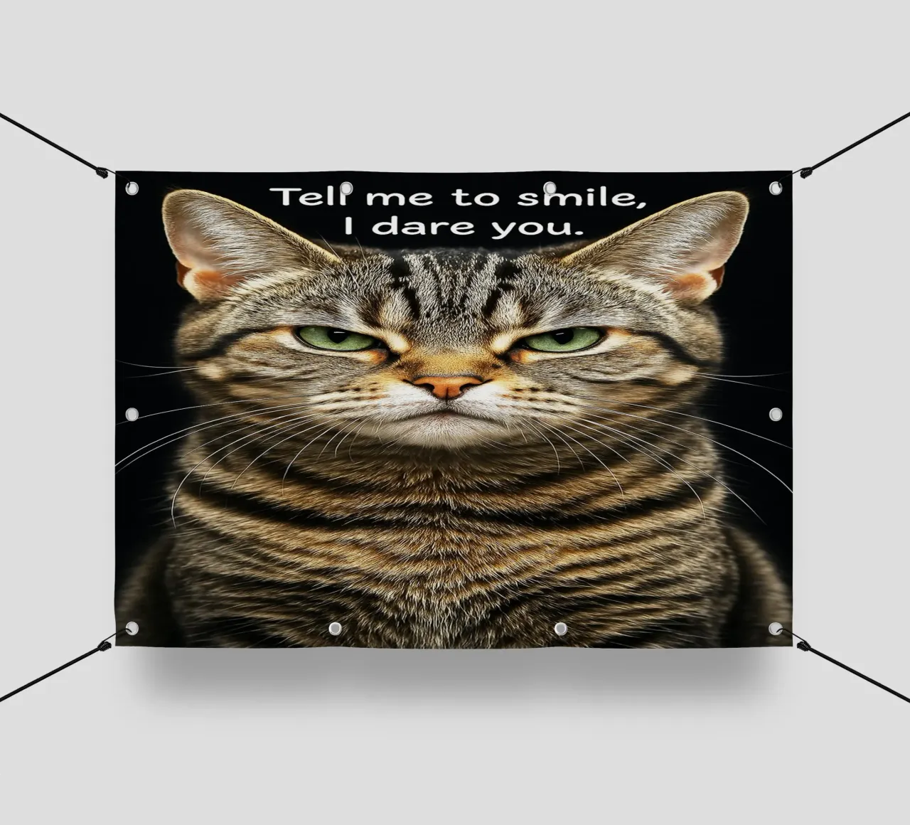 Gatto dimmi di sorridere, ti sfido telo in pvc da the gindils
