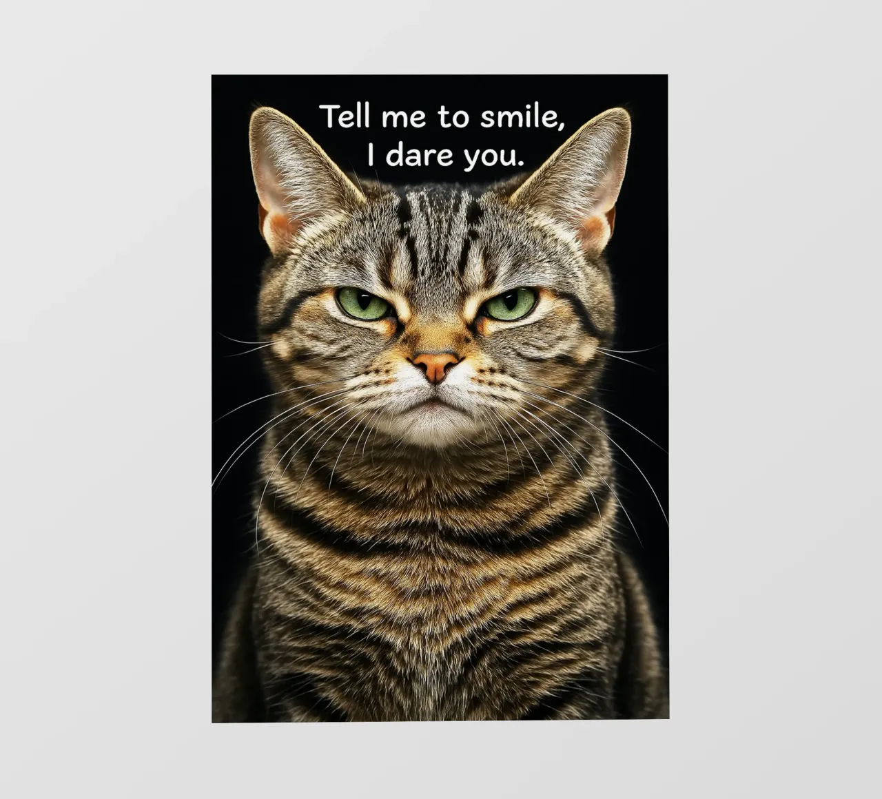 Gatto dimmi di sorridere, ti sfido telo in pvc da the gindils