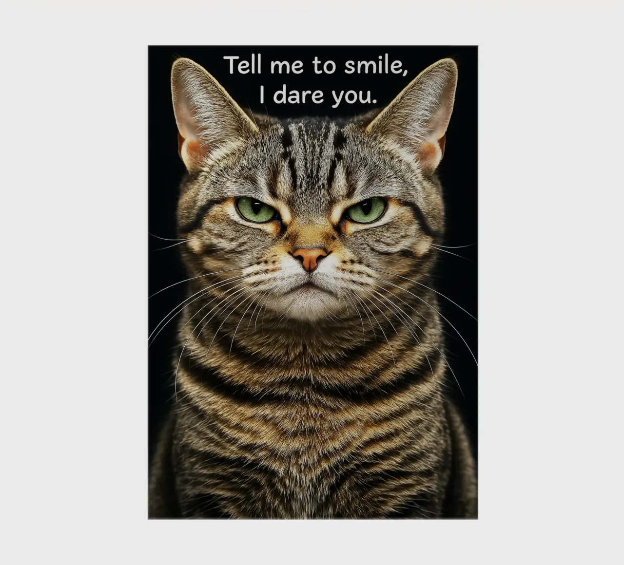 Cat tell me to smile i dare you notebook by the gindils