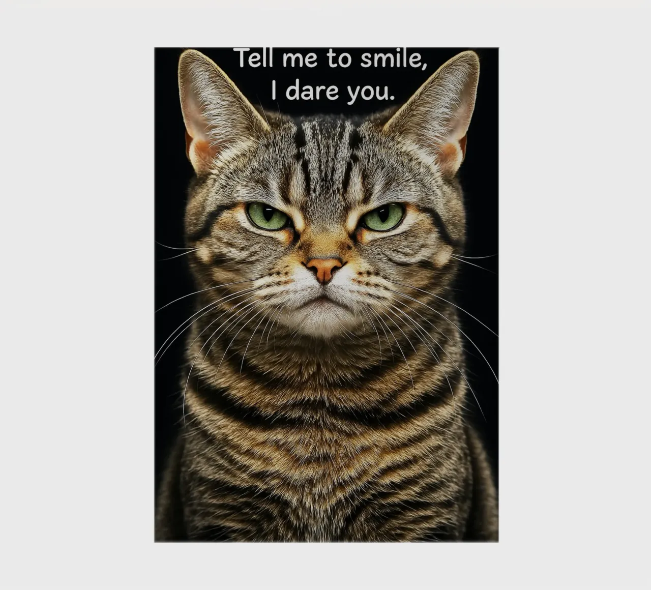Cat tell me to smile i dare you notebook by the gindils
