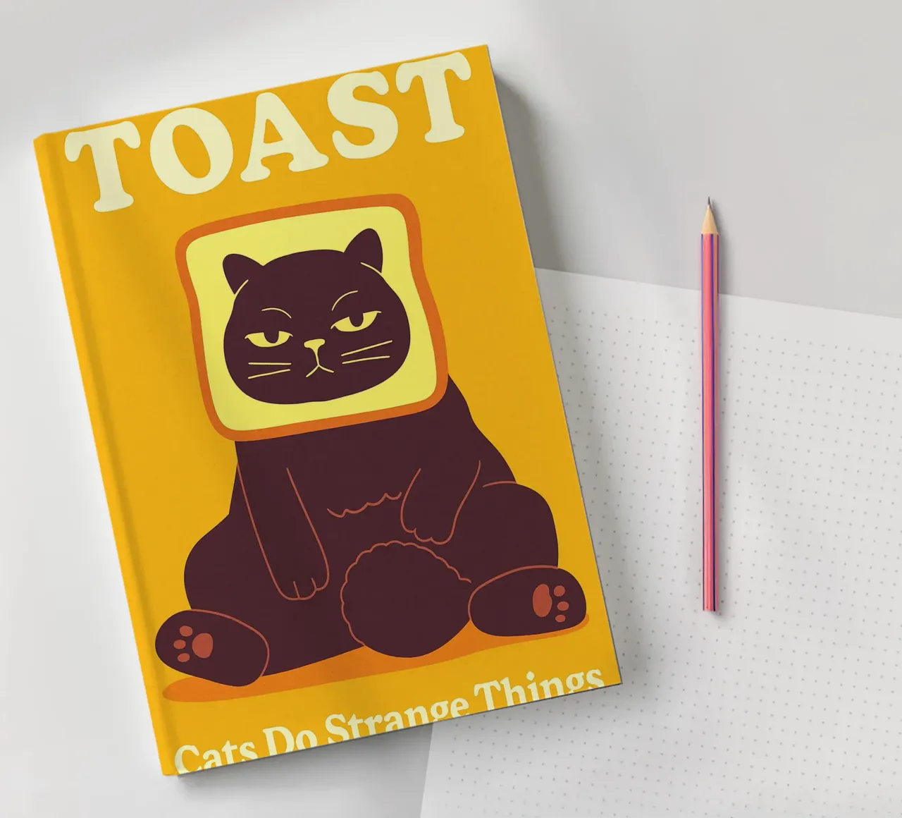 Gatto brindisino I gatti fanno cose strane diario da the gindils