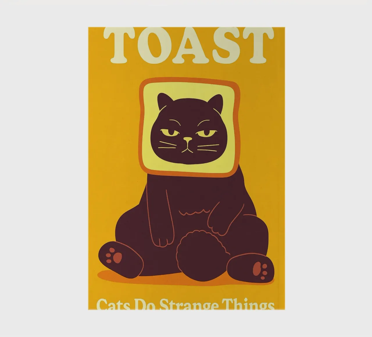 Gatto brindisino I gatti fanno cose strane diario da the gindils
