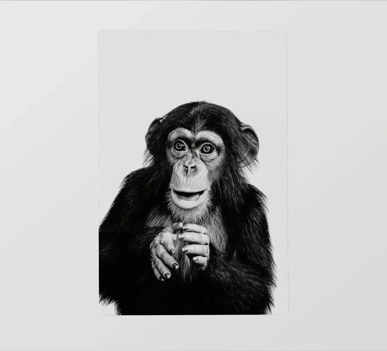 Chimpanzee II telo in pvc da Paws & Claws