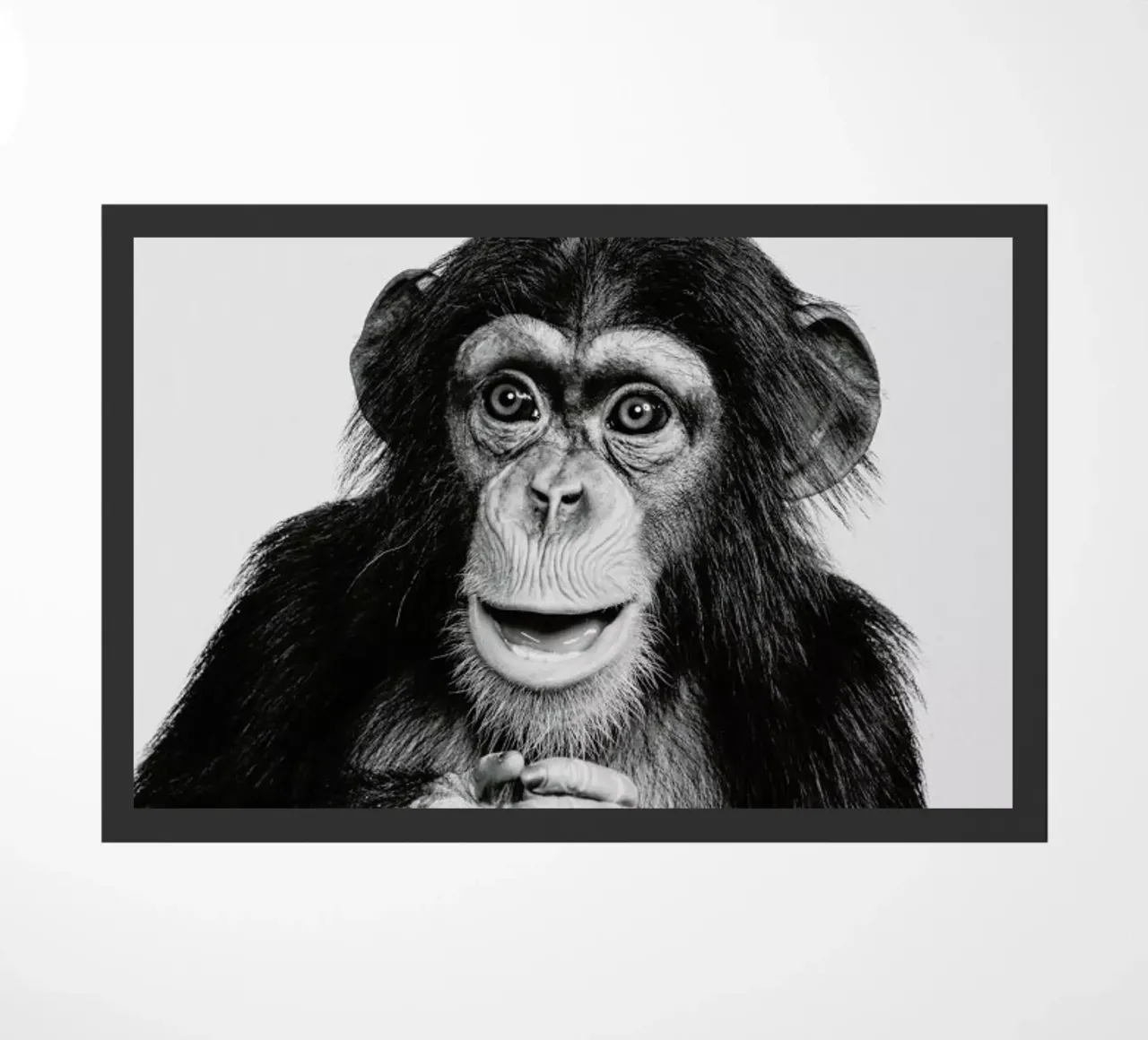 Chimpanzee II zerbino da Paws & Claws