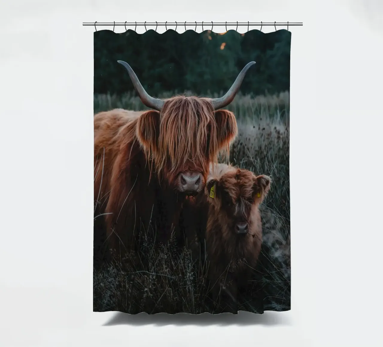 Highland Cattle Duschvorhang von Sibbershusum