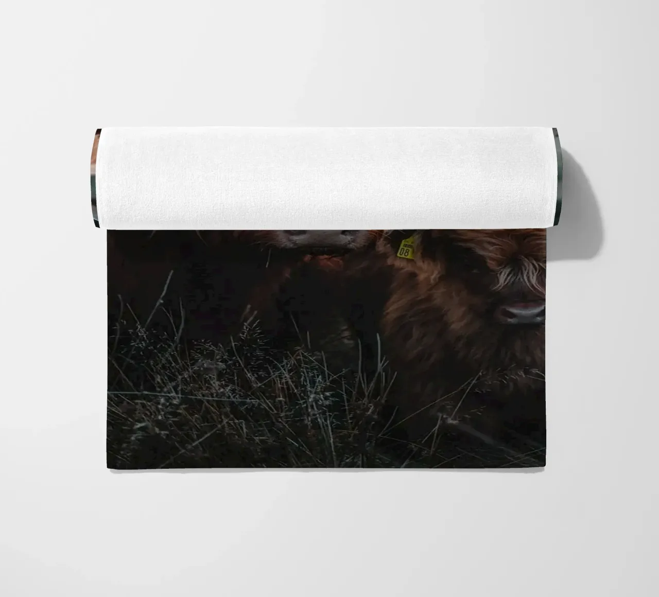 Highland Cattle telo mare da Sibbershusum