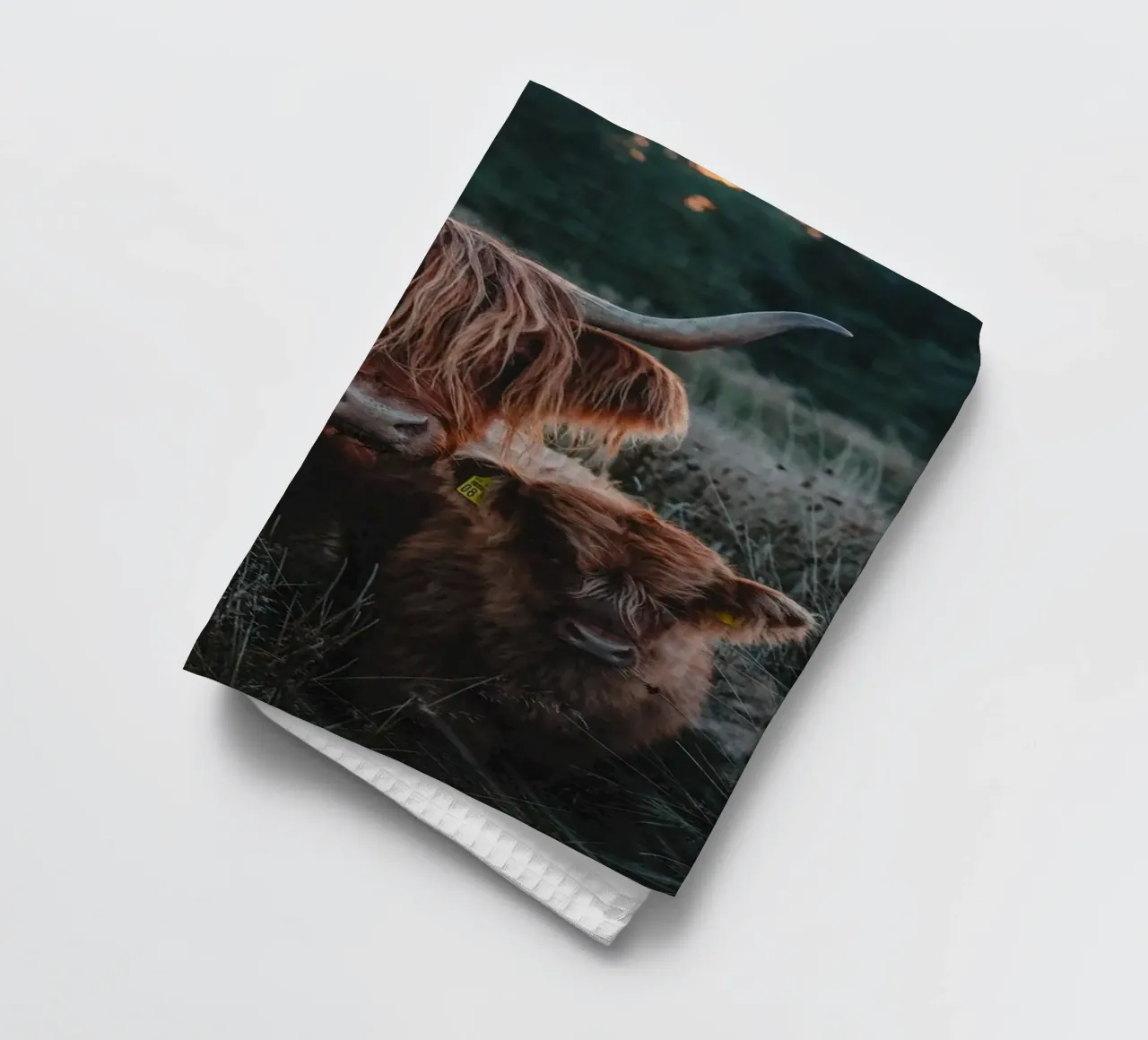 Highland Cattle canovaccio da cucina da Sibbershusum