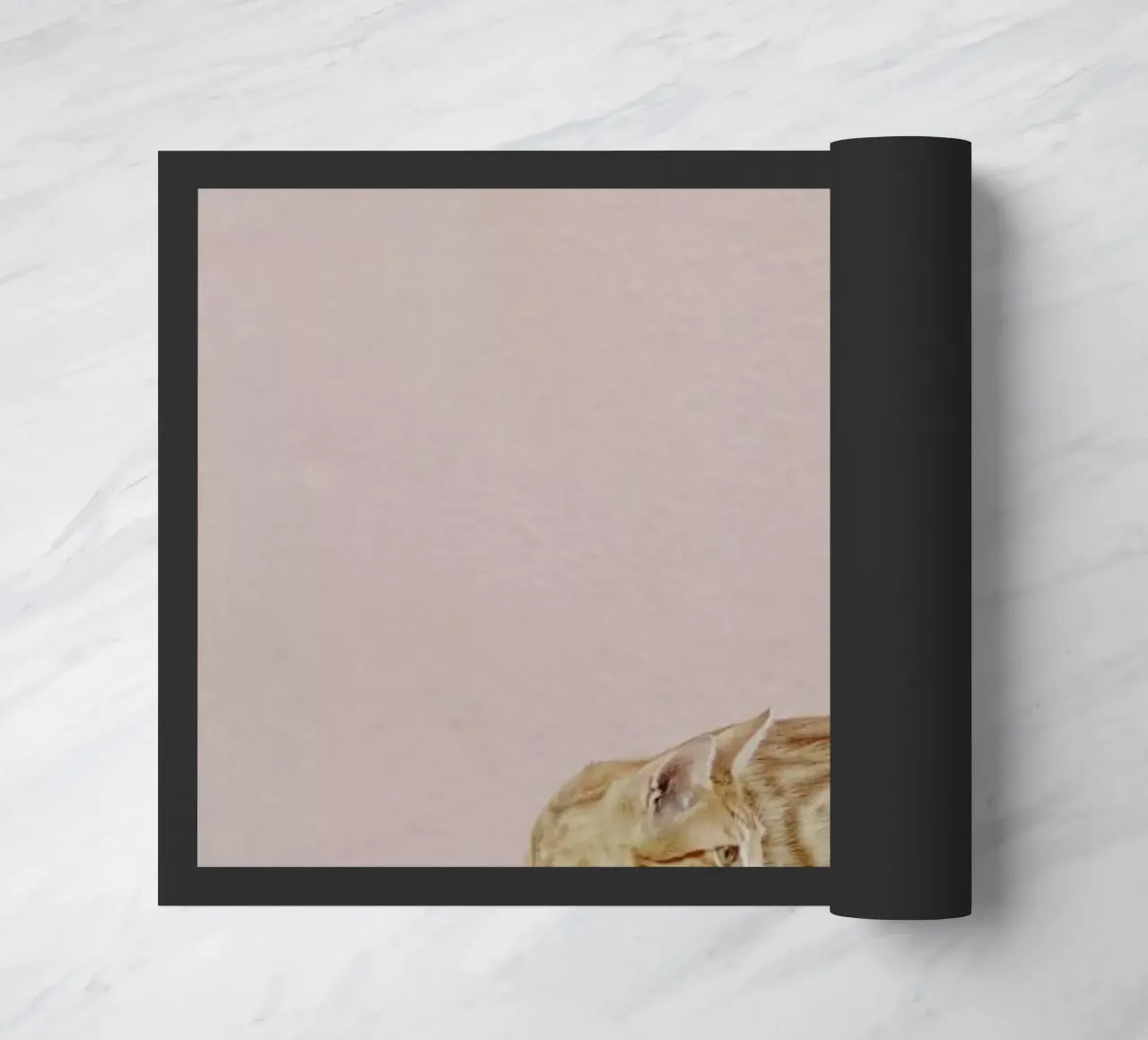 Tiger zerbino da EyeEm Mobile GmbH