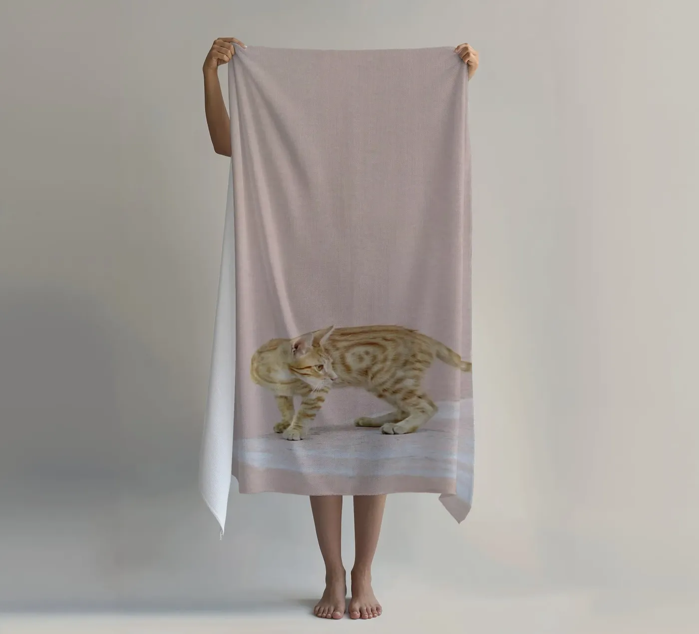 Tiger telo mare da EyeEm Mobile GmbH