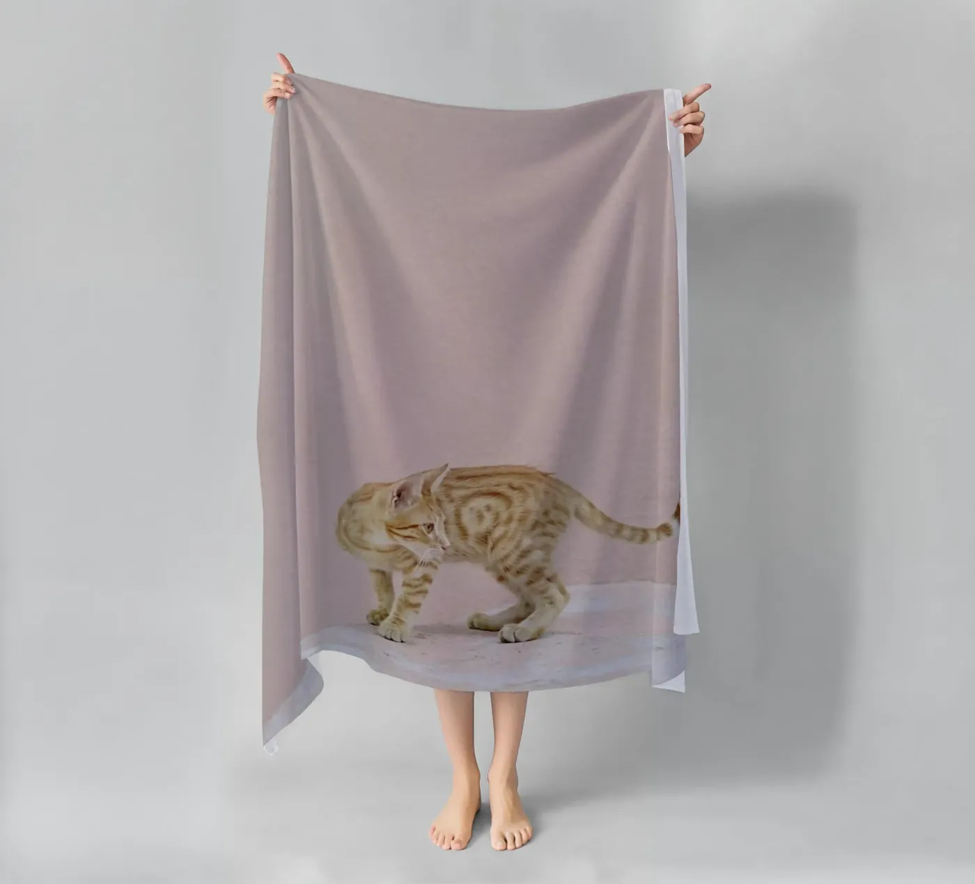 Tiger telo mare da EyeEm Mobile GmbH