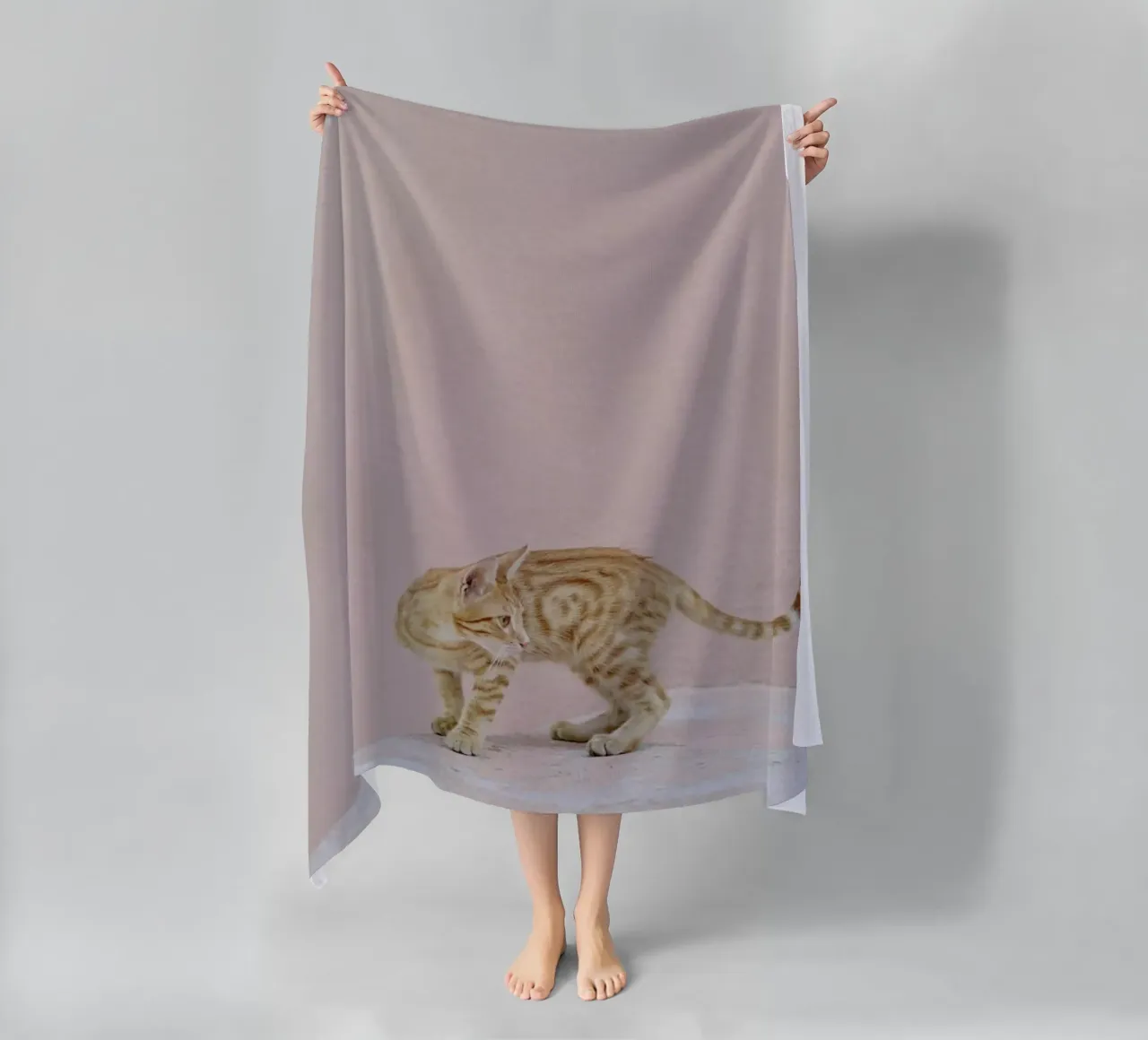 Tiger telo mare da EyeEm Mobile GmbH