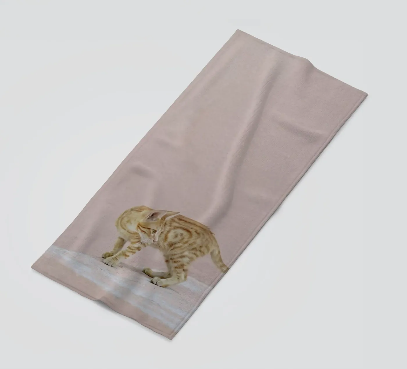 Tiger telo mare da EyeEm Mobile GmbH