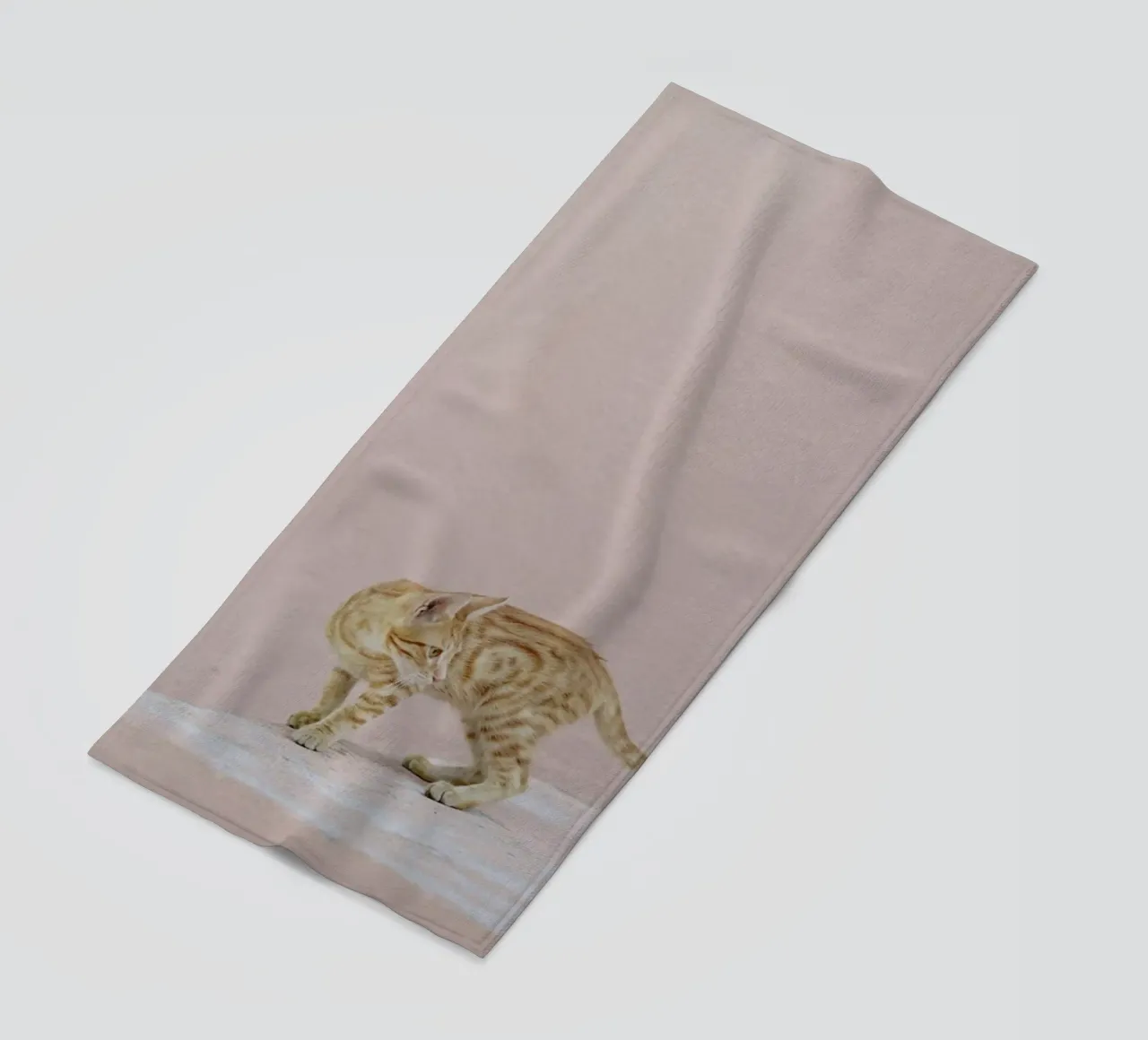 Tiger telo mare da EyeEm Mobile GmbH