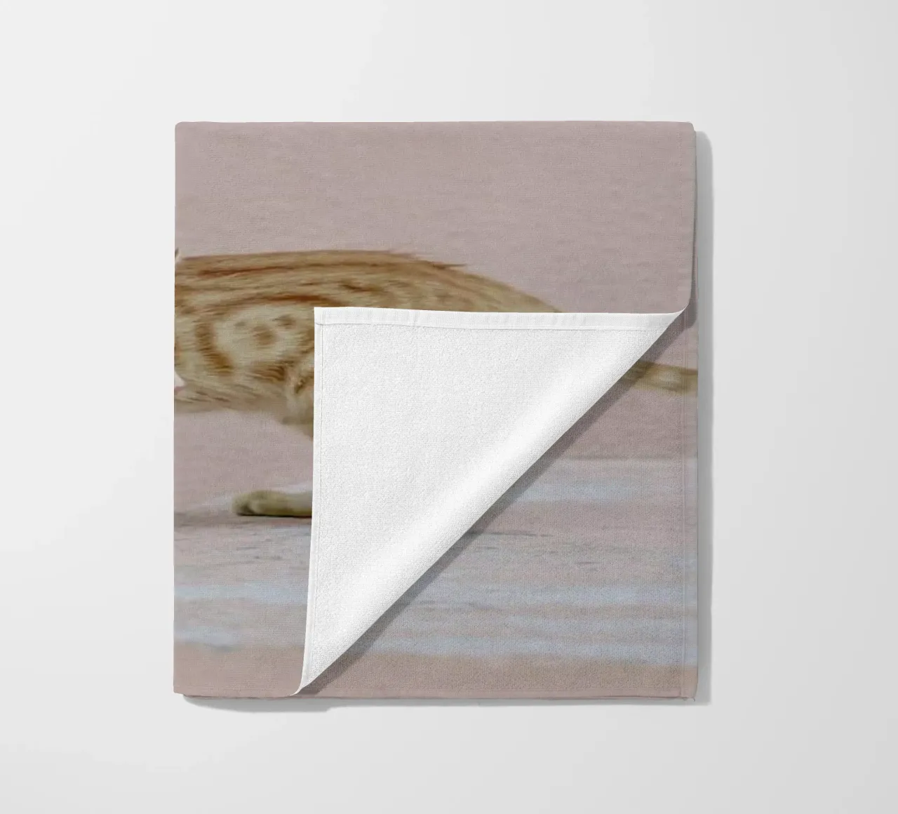 Tiger telo mare da EyeEm Mobile GmbH