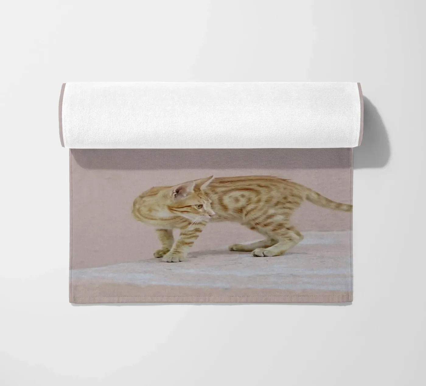 Tiger telo mare da EyeEm Mobile GmbH