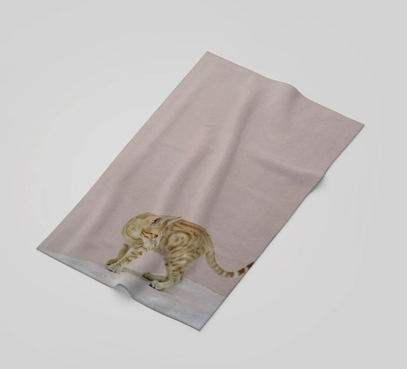 Tiger telo mare da EyeEm Mobile GmbH