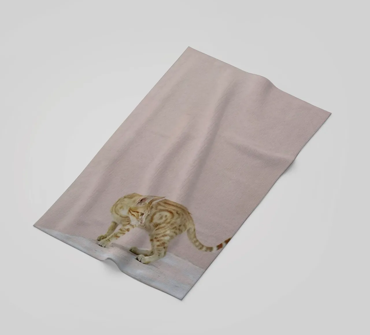 Tiger telo mare da EyeEm Mobile GmbH