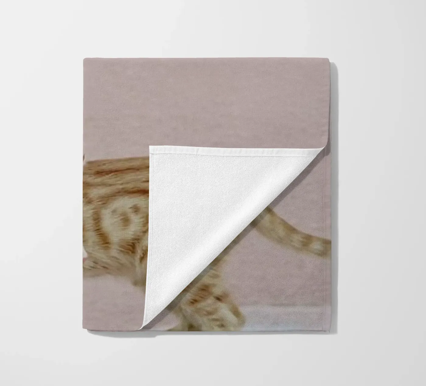 Tiger telo mare da EyeEm Mobile GmbH