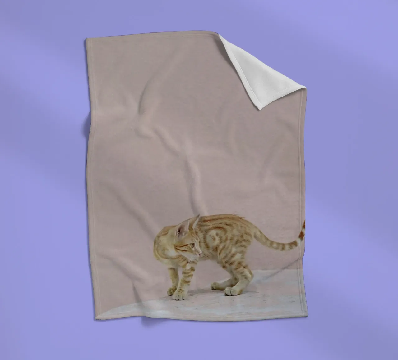 Tiger fleecedeken van EyeEm Mobile GmbH