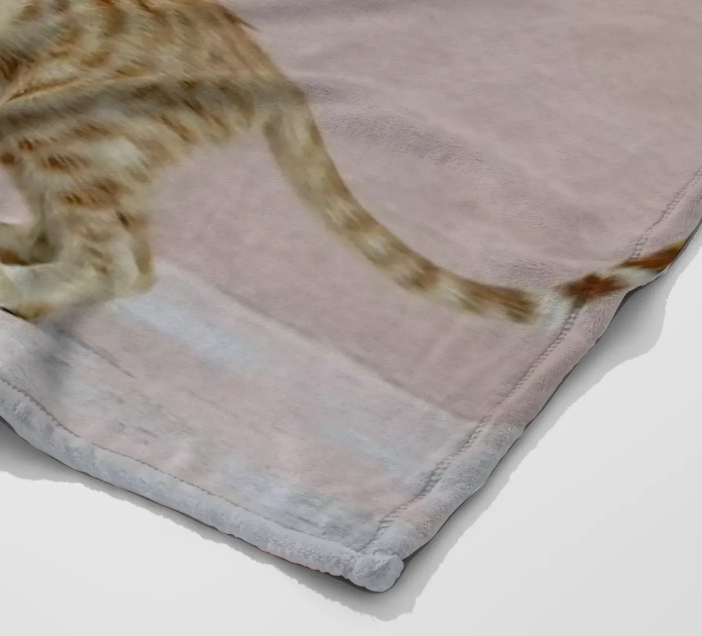 Tiger coperta in pile da EyeEm Mobile GmbH