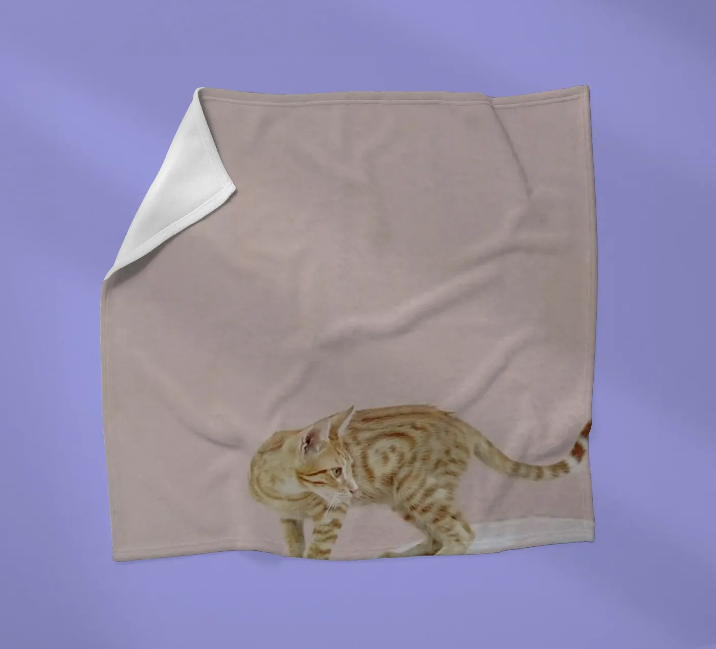 Tiger coperta in pile da EyeEm Mobile GmbH