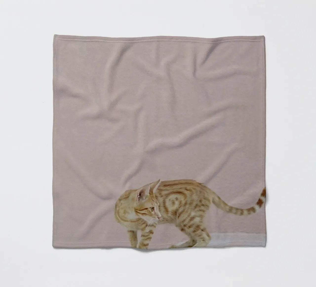 Tiger fleecedeken van EyeEm Mobile GmbH